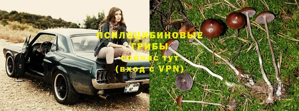 дживик Ельня