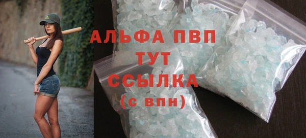 дживик Ельня