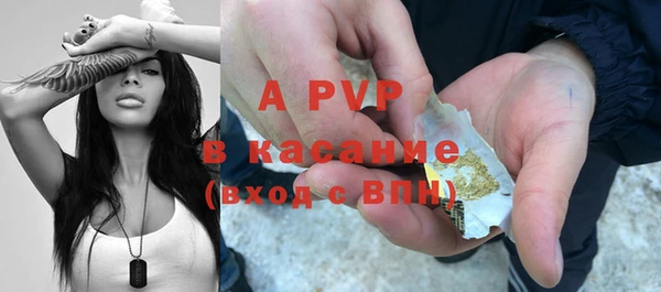 винт Елизово