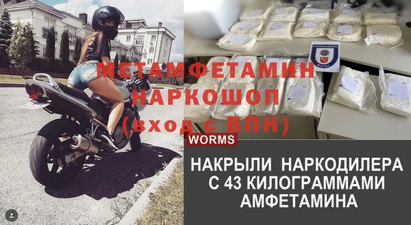 дживик Ельня