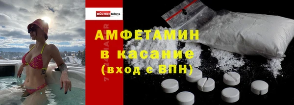 дживик Ельня