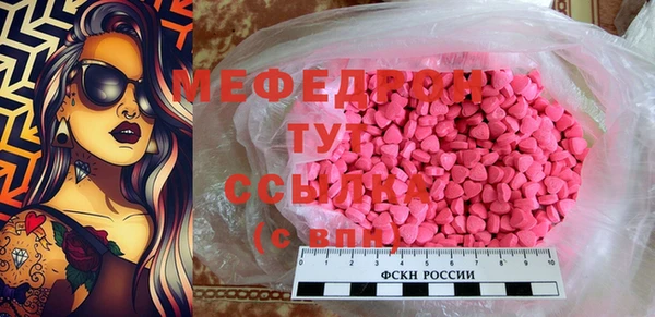 дживик Ельня