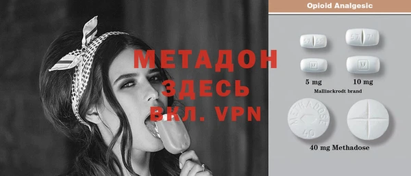 дживик Ельня