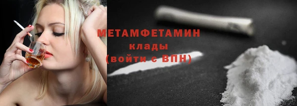 дживик Ельня