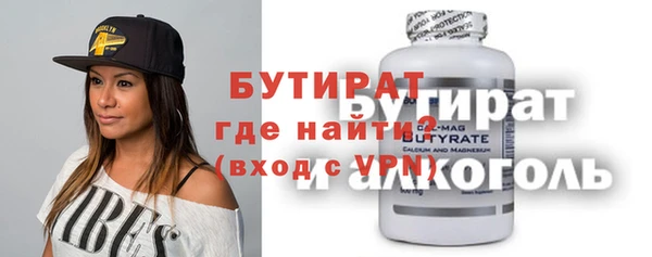 дживик Ельня