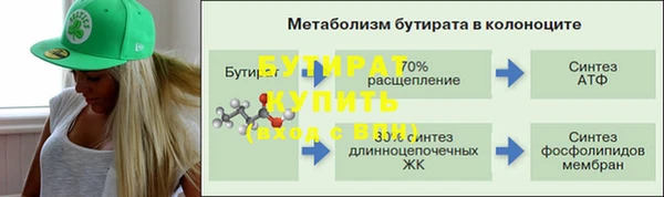 дживик Ельня