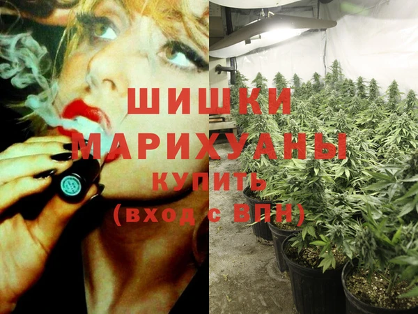 винт Елизово