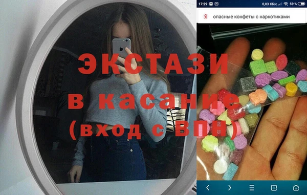 дживик Ельня