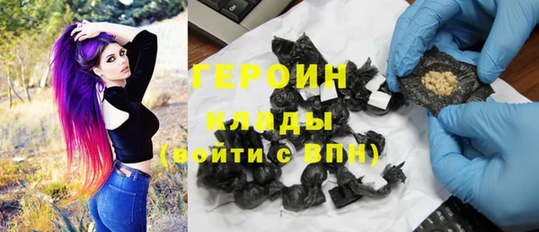 дживик Ельня