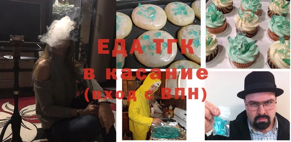 дживик Ельня