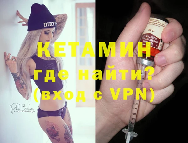 дживик Ельня