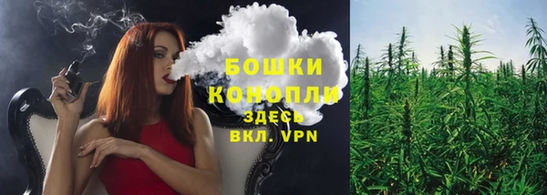 винт Елизово