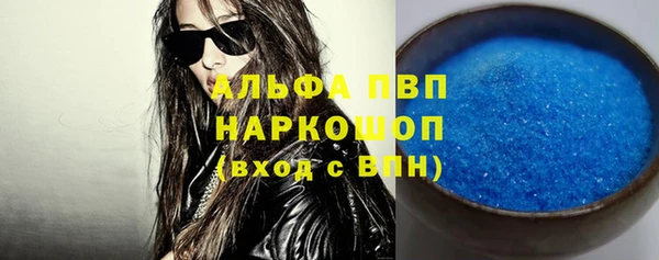 дживик Ельня
