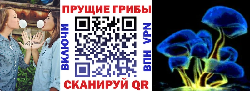 Купить закладки  Мичуринск  Галлюциногенные грибы Cubensis 